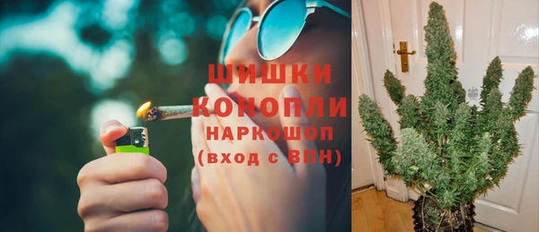 сатива Вязьма