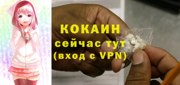 бошки Вяземский