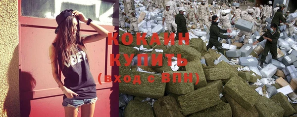 сатива Вязьма