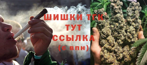 сатива Вязьма