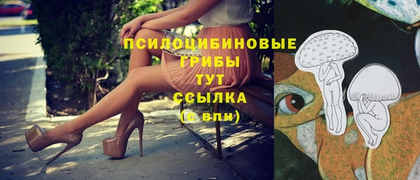 сатива Вязьма