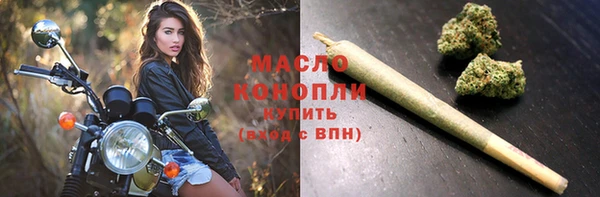 сатива Вязьма